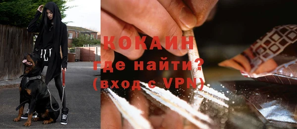 дживик Горняк