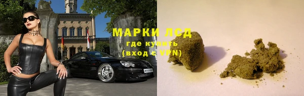 дживик Горняк