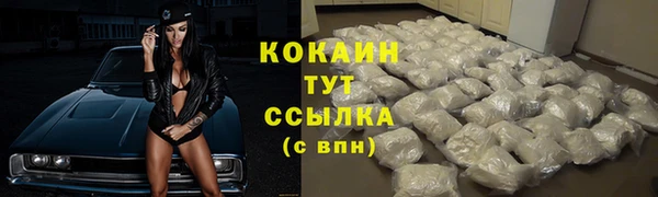 дживик Горняк