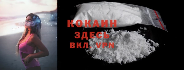 дживик Горняк